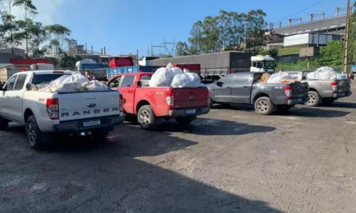 
				
					Mais de cinco toneladas de drogas são incineradas pela polícia na Bahia
				
				