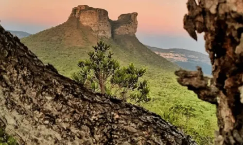 
				
					Com 50 veículos no grid de largada, primeiro Rally da Chapada reúne aventura, turismo e mais; veja as datas do evento
				
				