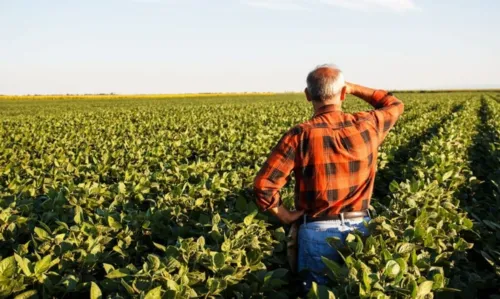 
				
					Proprietário rural? Saiba como emitir Certificado de Cadastro de Imóvel
				
				