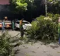 
                  Árvore cai na pista e parte do trânsito fica interditado na região do Imbuí, em Salvador