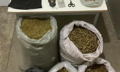 
				
					Dois homens são presos com 50 quilos de maconha em Juazeiro
				
				