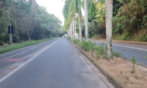 
				
					Árvore cai e interdita avenida no bairro de Patamares, em Salvador
				
				