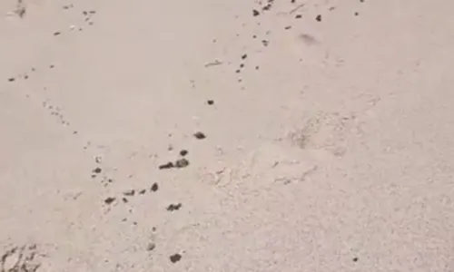 
				
					Manchas de óleo voltam a aparecer em praias de Salvador quase 3 anos após surgimento do material na costa do Brasil
				
				