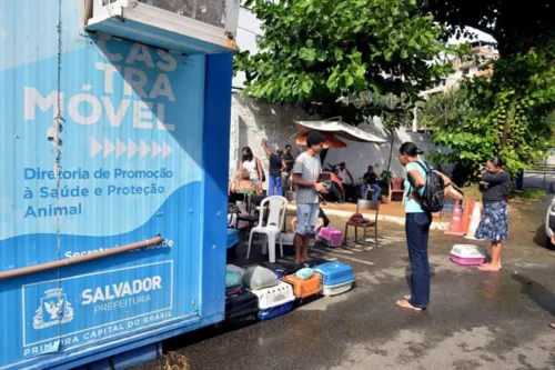 
				
					Catramóvel na Avenida San Martin, em Salvador, continua a funcionar até setembro
				
				