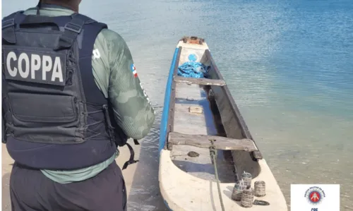 
				
					Explosivos destinados à pesca são encontrados no Recôncavo Baiano
				
				