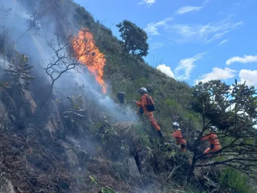 
				
					Incêndio de grandes proporções atinge parte da Serra do Coxo, em Jacobina
				
				