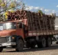 
                  Homem sem habilitação é flagrado com carga de madeira ilegal avaliada em meio milhão de reais na Bahia