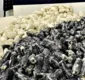 
                  Boliviana é presa com cápsulas de cocaína camufladas de batatas em ônibus na Bahia