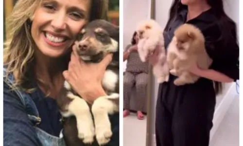 
				
					Luisa Mell critica Juliette por novos pets e defende adoção: 'Poderia dar exemplo'
				
				