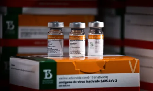 
				
					Butantan entrega 1 milhão de doses da CoronaVac para vacinar crianças
				
				