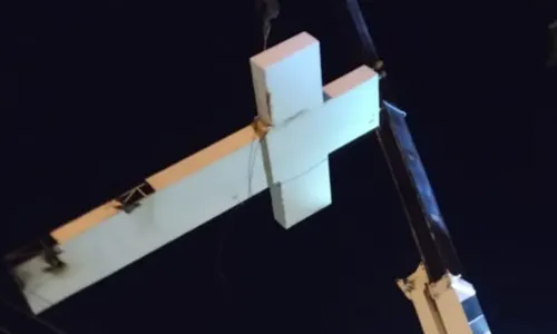 
				
					Após 8 anos ocupada por abelhas, cruz de igreja com quase uma tonelada é revitalizada para remover insetos na Bahia
				
				