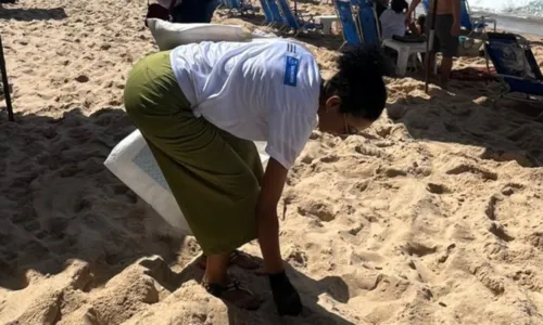 
				
					Ação remove mais de 400 kg de resíduos da praia da Barra
				
				