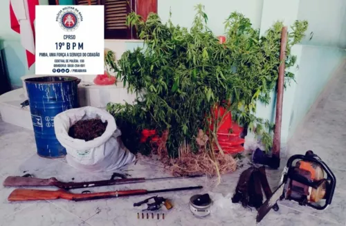 
				
					Plantação com 1.500 pés de maconha é destruída pela Polícia no sudoeste da Bahia
				
				