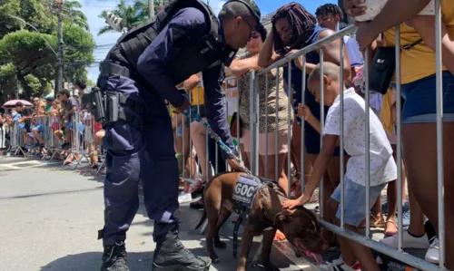 
				
					FOTOS: confira imagens da festa do 7 de setembro em Salvador
				
				