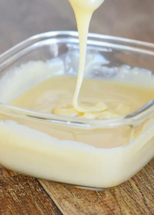 
				
					Aprenda a fazer leite condensado vegano
				
				