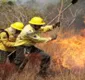 
                  Ibama abre processo seletivo para atuação em combate a incêndios no sul da Bahia