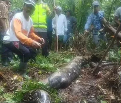 
		Mulher desaparecida é encontrada morta dentro de cobra píton