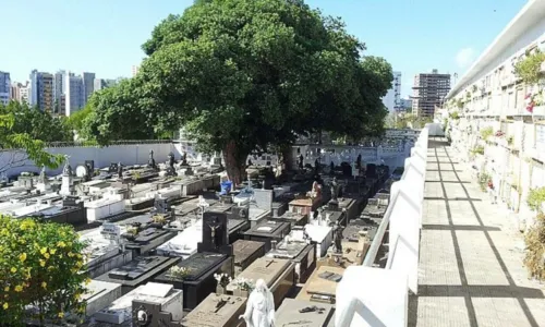 
				
					Semana de Oração pelos falecidos no Cemitério Campo Santo começa nesta quinta (27); confira programação
				
				