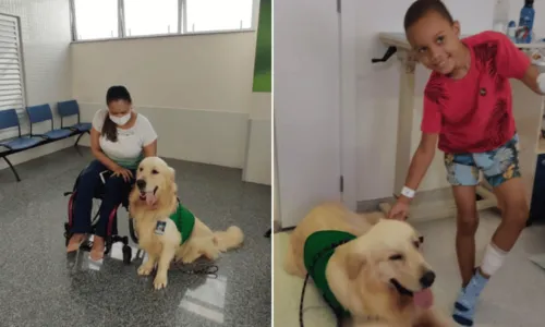 
				
					Com direito a crachá, cachorro ajuda na recuperação de pacientes em hospital de Salvador
				
				