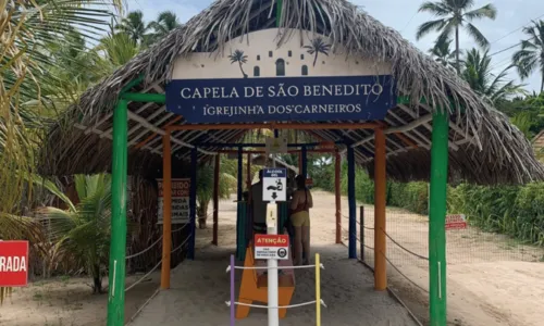 
				
					Praia dos Carneiros: conheça destino pernambucano que promete bombar no verão
				
				