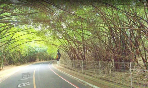 
				
					Transalvador interdita tráfego em vias do bairro Patamares no próximo domingo (9)
				
				