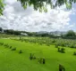 
                  Dia de Finados: veja programação dos cemitérios de Salvador para o dia 2 de novembro