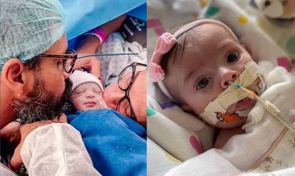 Entenda a anomalia de Ebstein, doença rara da filha de Juliano Cazarré