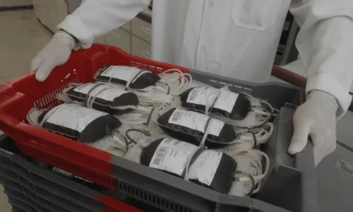 
				
					Hemoba monta esquema especial para doação de sangue entre os dias 11 a 15 de novembro; veja
				
				