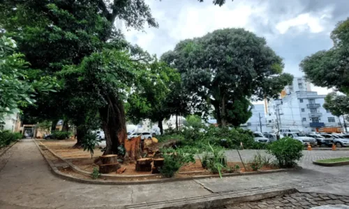 
				
					Árvore cai em estacionamento de igreja e atinge carro de noivo em Salvador
				
				