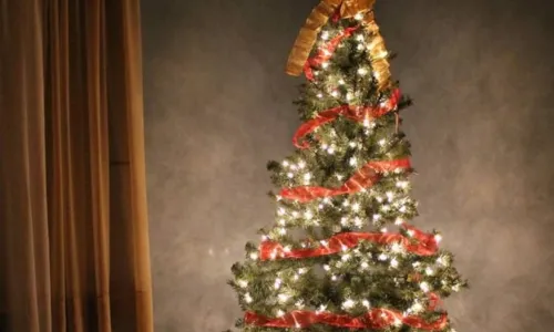 
				
					Espírito natalino: veja dicas de como montar árvore de natal
				
				