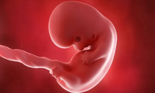 
				
					Oito semanas de gravidez: entenda como o bebê se desenvolve neste período
				
				