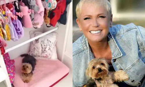 
				
					Xuxa vira alvo de críticas após mostrar quarto feito para cachorro: 'Exagero'
				
				
