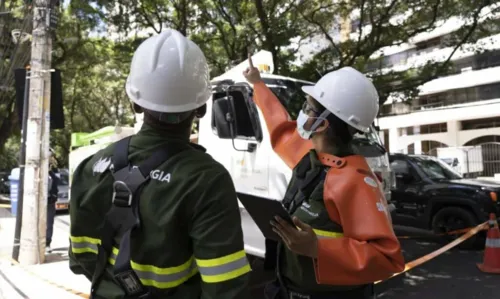 
				
					'Gatos' descobertos na BA em 9 meses seriam capazes de abastecer Salvador por 30 dias
				
				