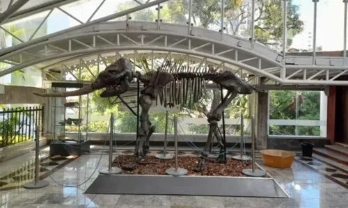 
				
					Museu Geológico da Bahia é reaberto com exposições de rochas, fósseis e réplicas de animais pré-históricos
				
				