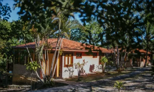 Base na Montanha (Casas Criativas 1)