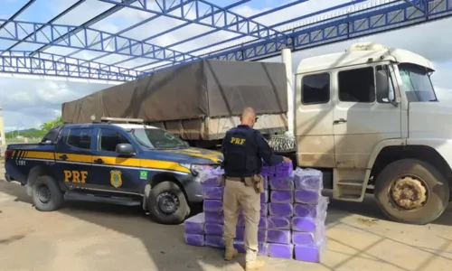 
				
					PRF apreende 680 kg de maconha em caminhão na BR 116, em Feira de Santana
				
				