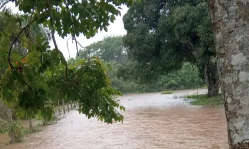 
				
					Única comunidade quilombola reconhecida de Ilhéus é alagada após rio transbordar
				
				
