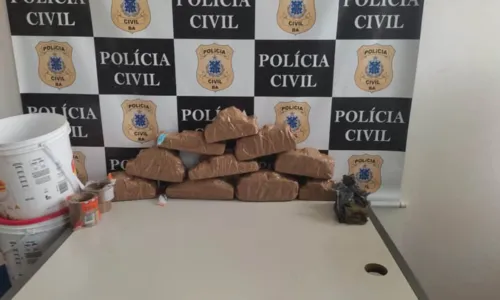 
				
					Polícia apreende 10 kg de maconha em terreno baldio após denúncia na Bahia
				
				
