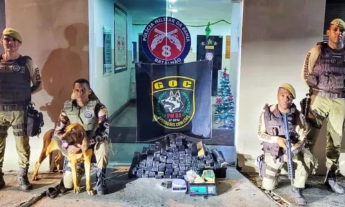 
				
					Polícia apreende quase 100 tabletes de drogas após ação de cadela farejadora na Bahia
				
				