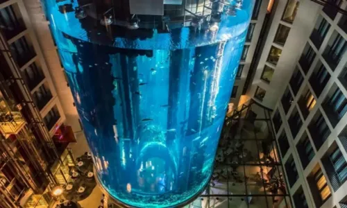 
				
					Maior aquário cilíndrico do mundo explode e espalha 1.500 peixes
				
				