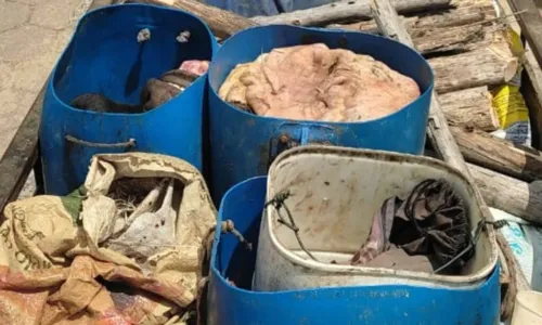 
				
					Noventa quilos de carne de abatedouros clandestinos são apreendidos dentro de carroça na BA
				
				