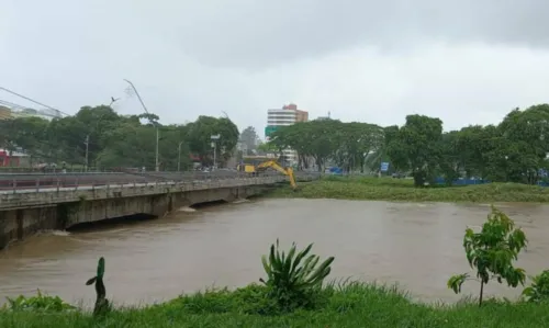 
				
					Cheia do rio Cachoeira, em Itabuna, deixa 520 pessoas desabrigadas; veja vídeo
				
				