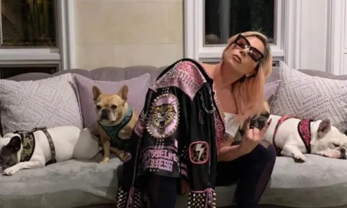 
				
					Homem que roubou cachorros de Lady Gaga é condenado a 21 anos de prisão
				
				