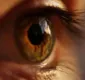 
                  Número de exames oftalmológicos no SUS dobra em relação a 2020