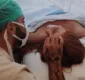 
                  Pedro Scooby revela que filha recém-nascida passou por cirurgias: 'Momento delicado'