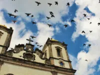 Conheça 4 produções que celebram a Lavagem do Bonfim, em Salvador