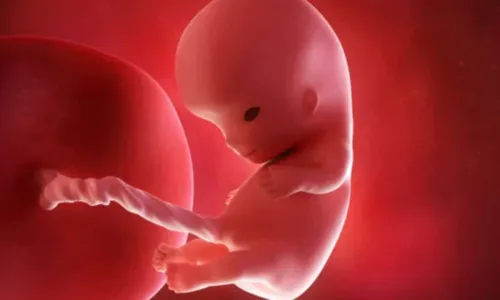 
				
					Dez semanas de gravidez: entenda como o bebê se desenvolve neste período
				
				