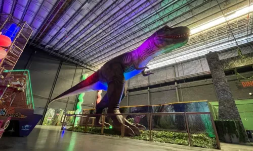 
				
					Réplica gigante de Tiranossauro Rex tem visitação gratuita em parque de Lauro de Freitas
				
				