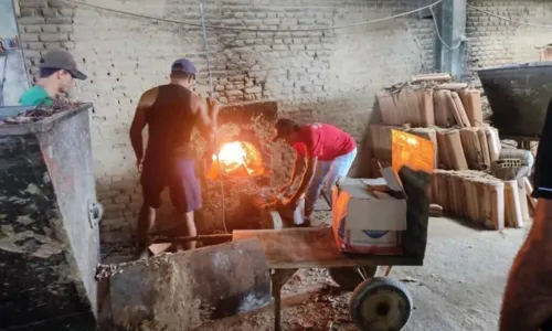 
				
					Mais de 65 kg de drogas são incinerados em cidade do extremo sul Bahia
				
				