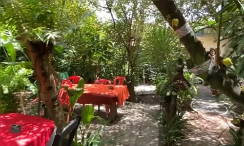 
				
					Bora Ali? Conheça restaurante que reúne calmaria, natureza e boa culinária em Mata de São João
				
				